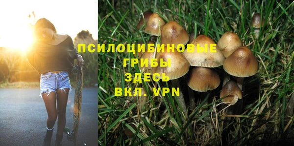 а пвп мука Абаза