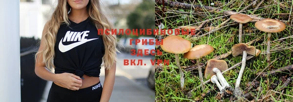 Альфа ПВП Абинск