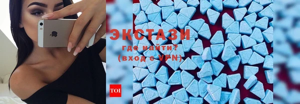 стаф Касимов