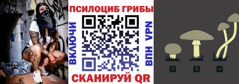 Галлюциногенные грибы MAGIC MUSHROOMS  Димитровград 